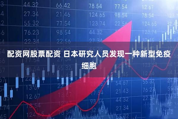 配资网股票配资 日本研究人员发现一种新型免疫细胞