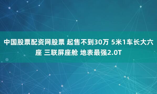 中国股票配资网股票 起售不到30万 5米1车长大六座 三联屏座舱 地表最强2.0T
