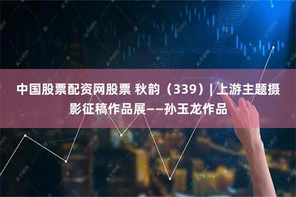 中国股票配资网股票 秋韵（339）| 上游主题摄影征稿作品展——孙玉龙作品