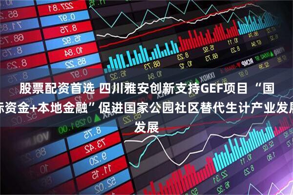 股票配资首选 四川雅安创新支持GEF项目 “国际资金+本地金融”促进国家公园社区替代生计产业发展
